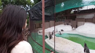 WWW.969ZY.COMJD105 精东按摩院
