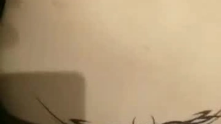 二零二三八月二十九号_小鱼鱼鱼无语