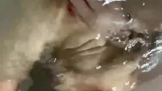 萌白酱[甜味弥漫]湿身白色连体衣编号ED718471